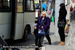 Подорожает ли проезд?