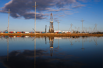 Участие в переговорах о заморозке добычи нефти подтвердили 12 стран
