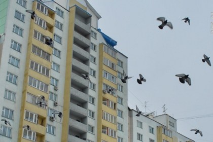 В Новосибирске возбуждено дело о доведении до самоубийства двух школьниц